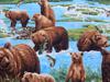 Bears Fishing