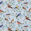 Finches & Branches
