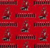 TB Buccaneers