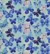 Calico Butterfly Blue