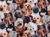 Dogs