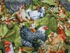 Chickens & Berries
