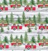 Christmas RVs
