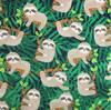 Cozy Sloths