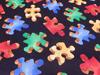 Puzzle Pieces