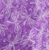 Dragonfly Purple