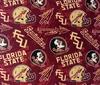 Florida State Seminoles