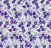 FP-Purple