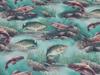 Freshwater Fish