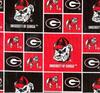 Georgia Bulldogs