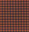Blue/Red Plaid