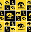 Iowa Hawkeyes