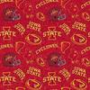 Iowa State
