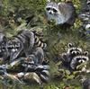 Masked Rascals