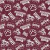 Mississippi State Bulldogs