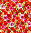 Multi-Colored Poppies