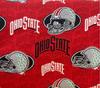 Ohio State Buckeyes