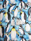 Penguins on Ice