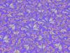 Purple - Flipenoppy