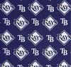 Tampa Bay Rays