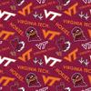 Virginia Tech Hokies