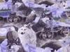 Call of the Wild